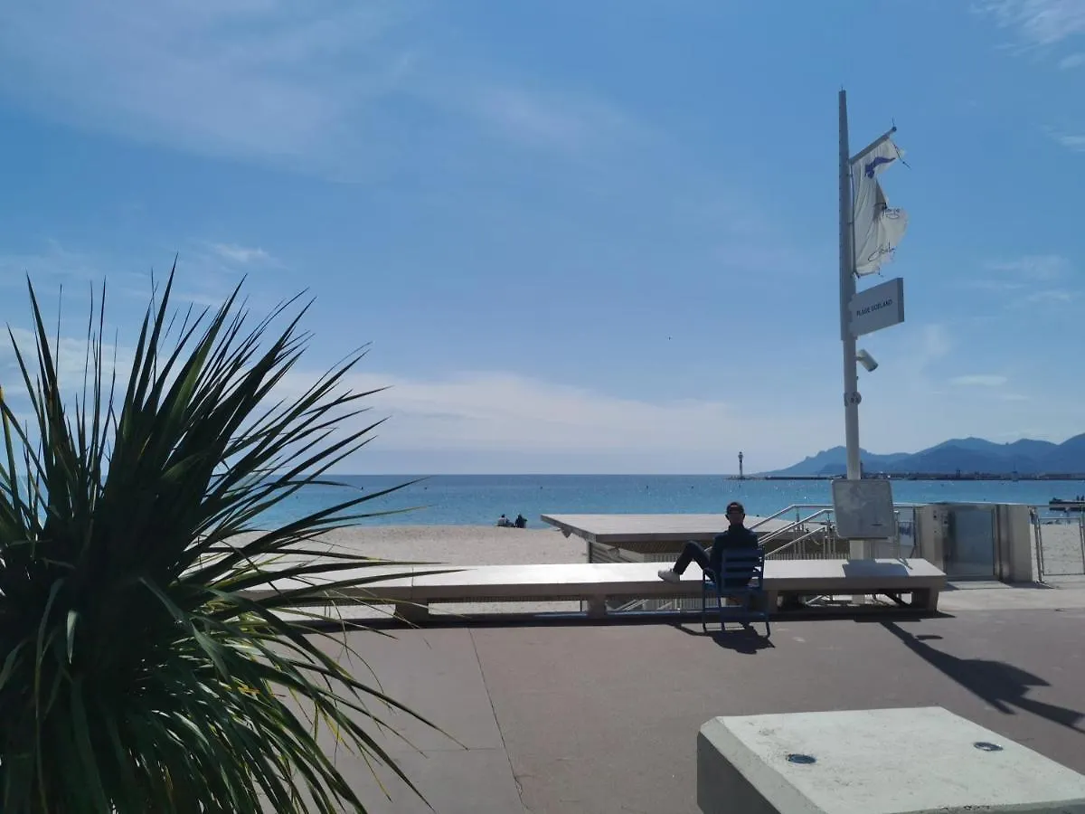 Un Nid D Amour Au Coeur De Cannes Apartment